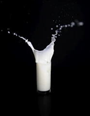 Close-up of fresh milk pouring into a glass with droplets on a white background.