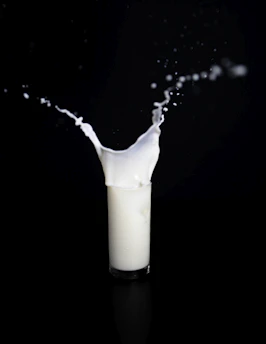 Close-up of fresh milk pouring into a glass with droplets on a white background.