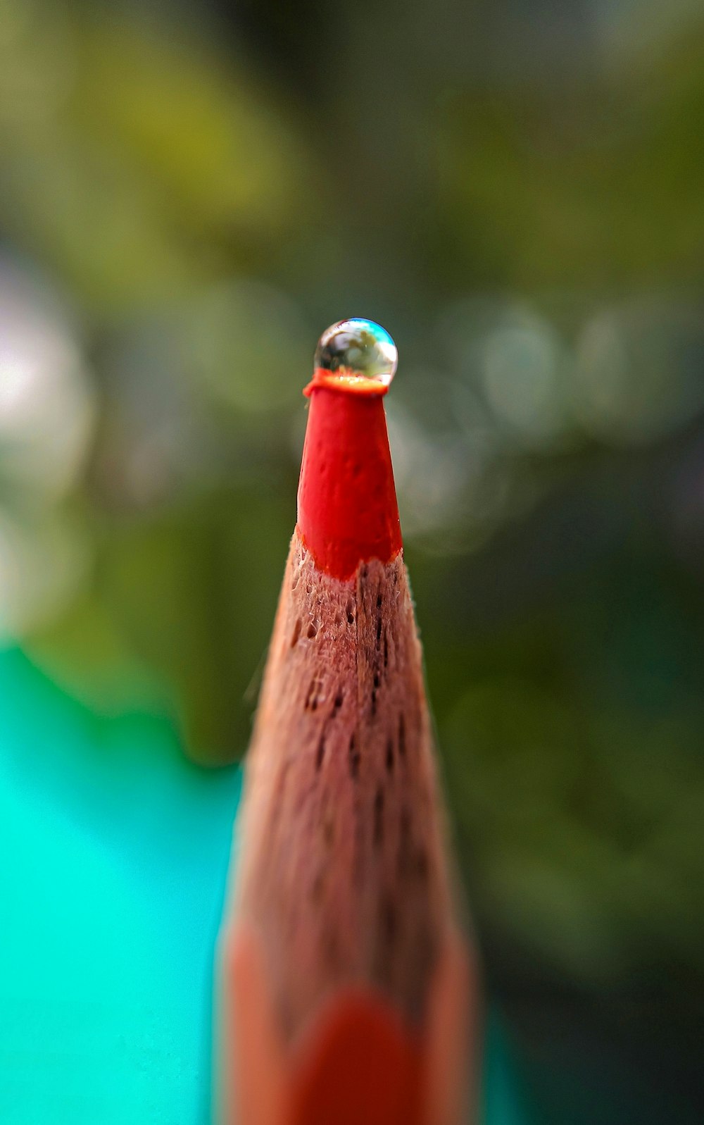 water droplet on brown wooden stick