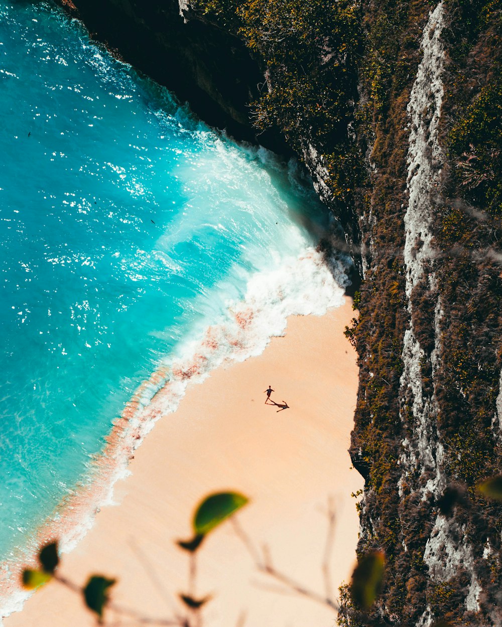 people on beach during daytime