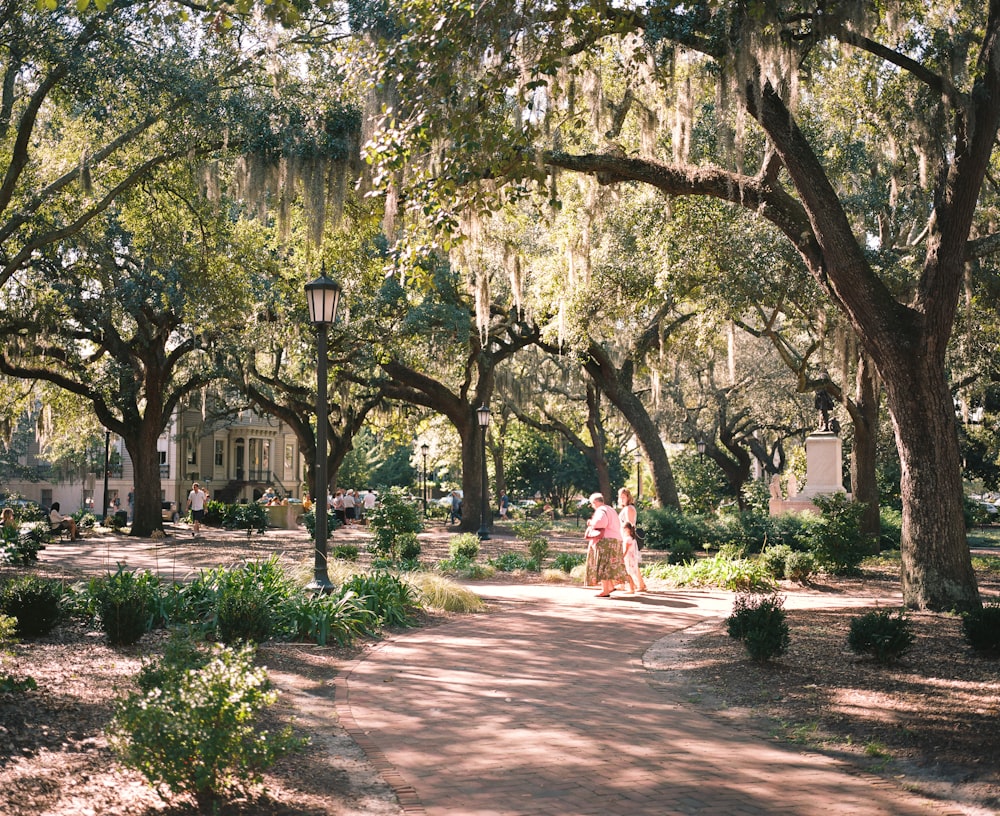 woman in white dress walking on pathway between trees during daytime