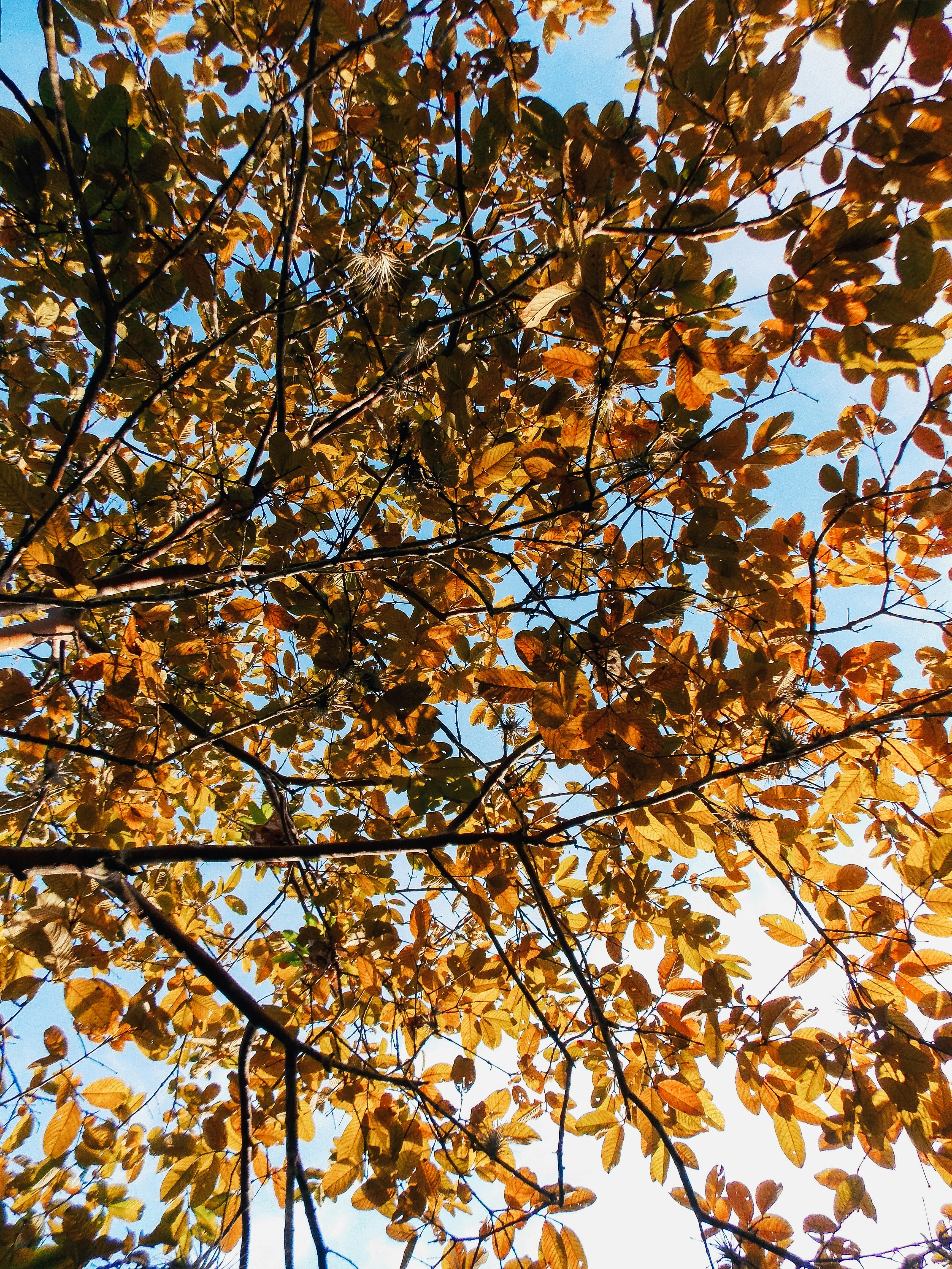 Photo by claitonconto