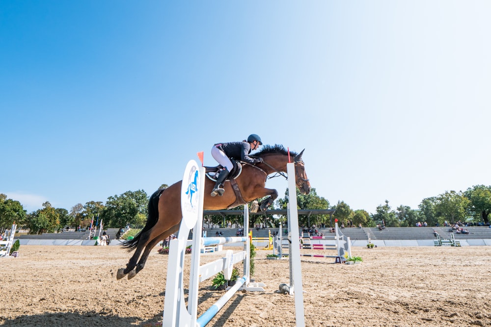 woman in white and red tank top riding brown horse during daytime