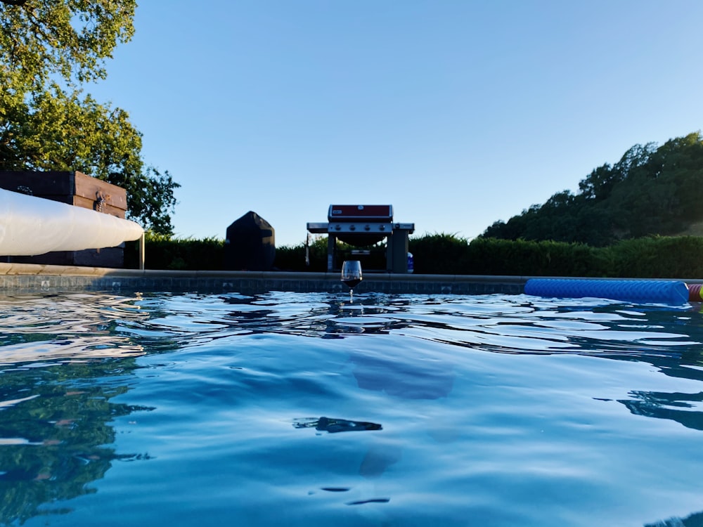 Árboles verdes junto a la piscina durante el día