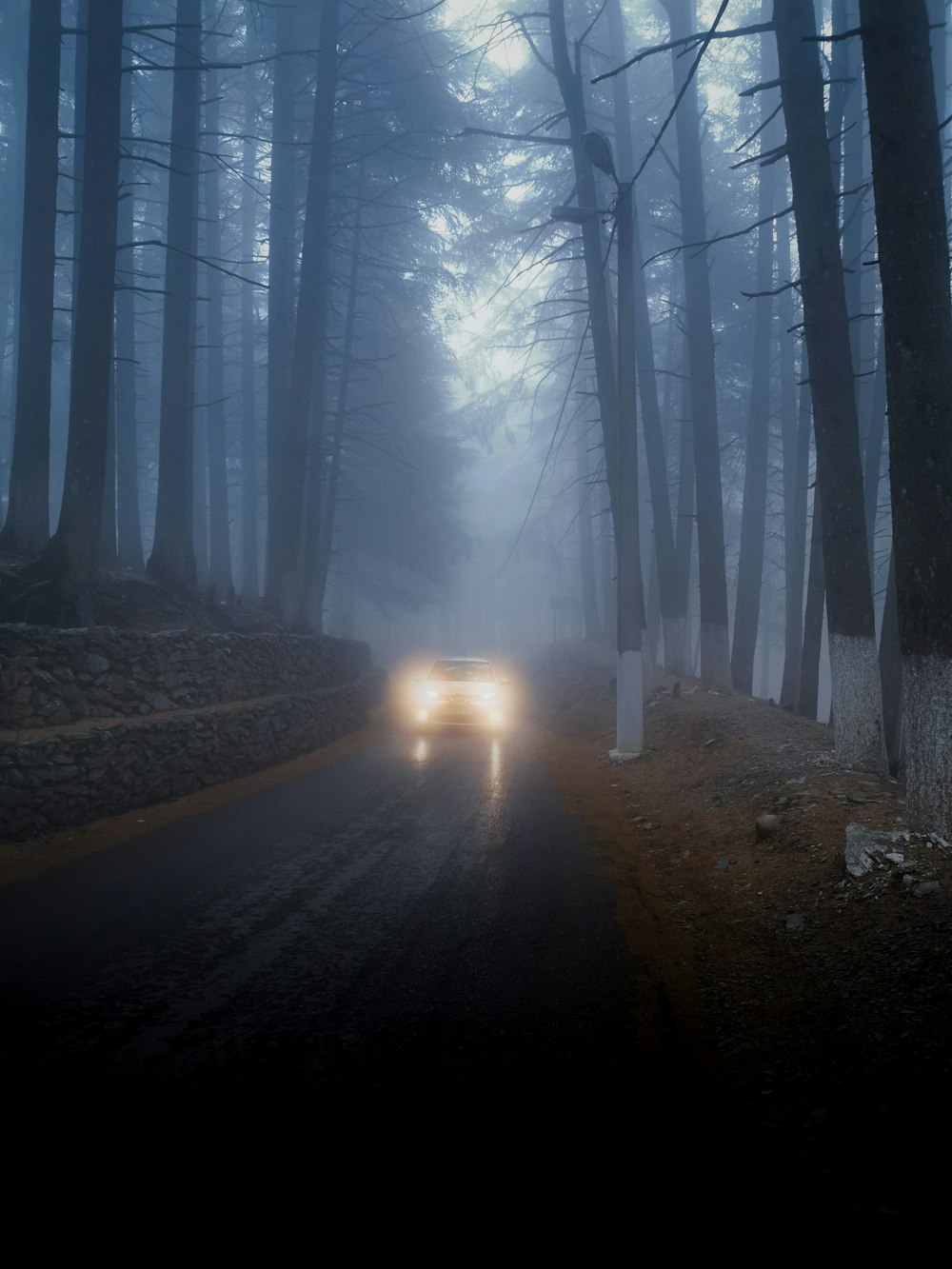 black asphalt road between trees during daytime