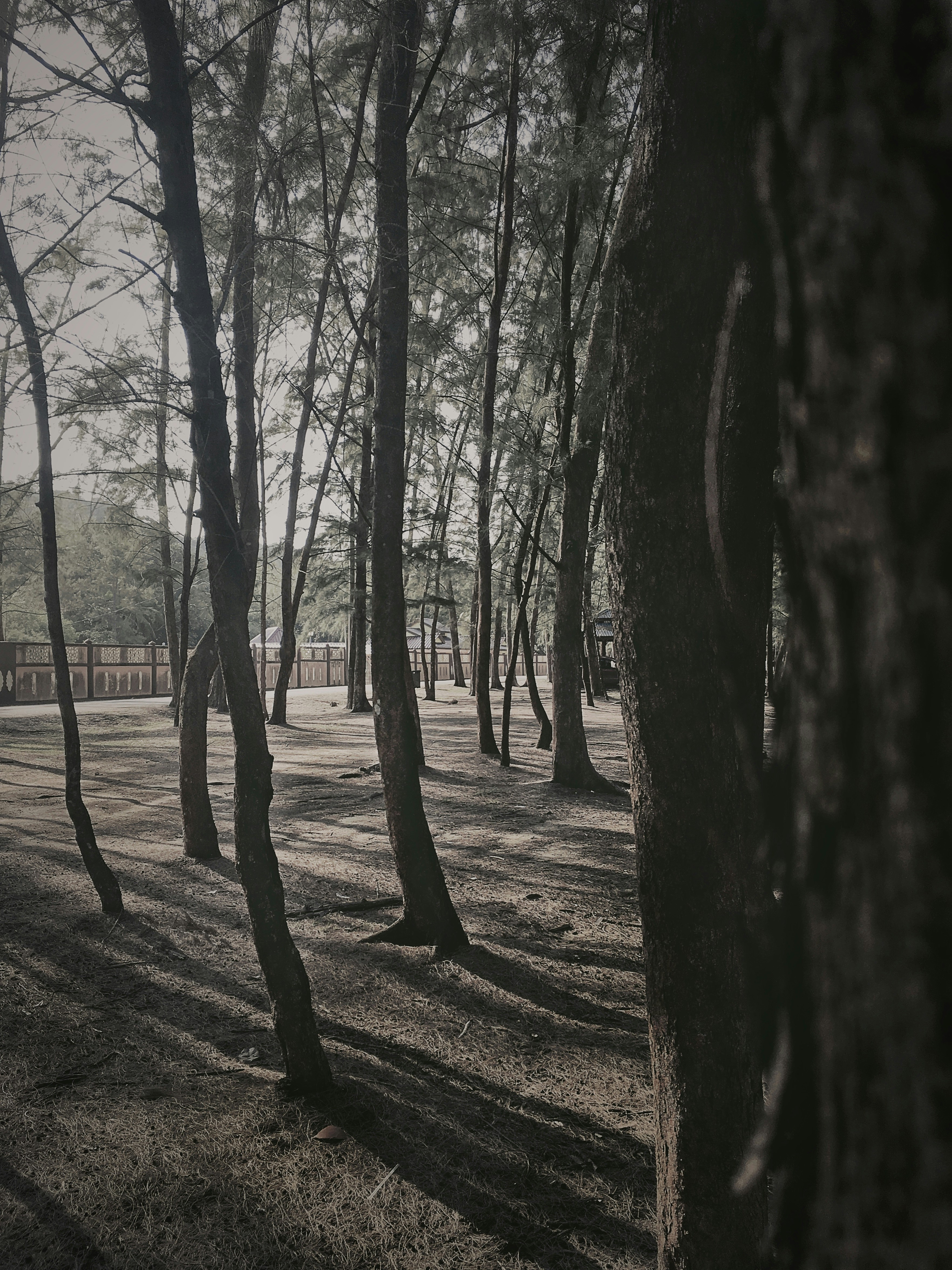 Photo by nadzimuddin_