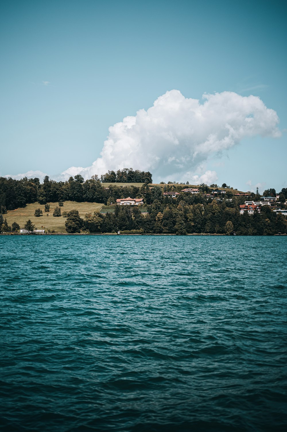 body of water near green trees and buildings during daytime