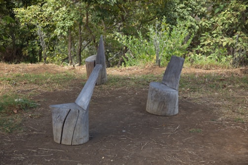 Wooden stumps arranged as outdoor furniture in a natural setting. The seating appears to be crafted from tree trunks placed on a patch of dirt surrounded by grass and foliage. Tall trees and various plants are visible in the background, indicating a forested area.