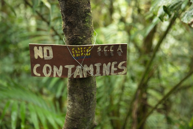 A wooden sign attached to a tree with the words 'NO CONTAMINES' written in bold letters, indicating an environmental message. The sign is secured with wire and the tree is surrounded by lush greenery, suggesting a forest or jungle setting.