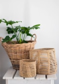 green plant on brown woven basket