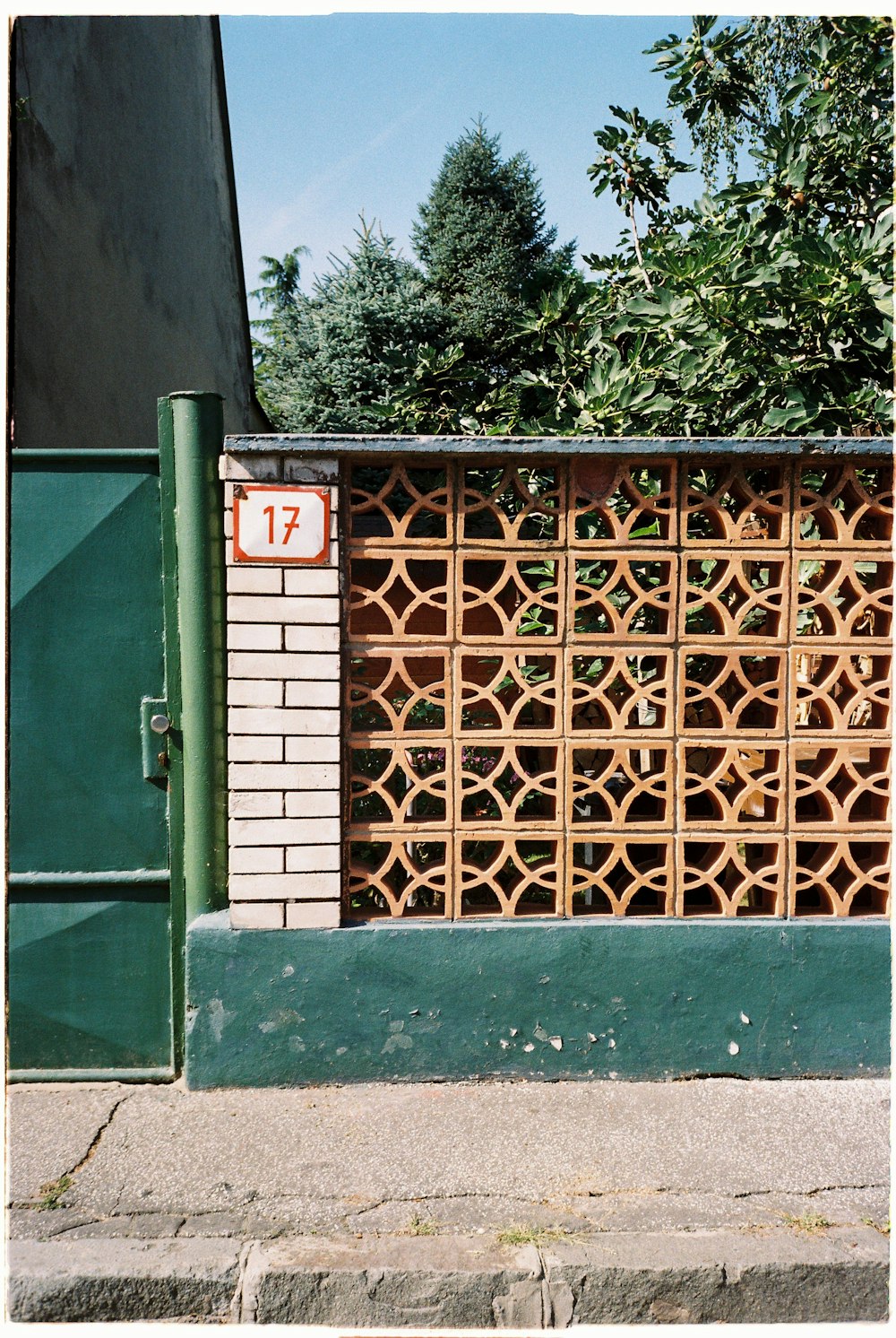 green and brown wooden door