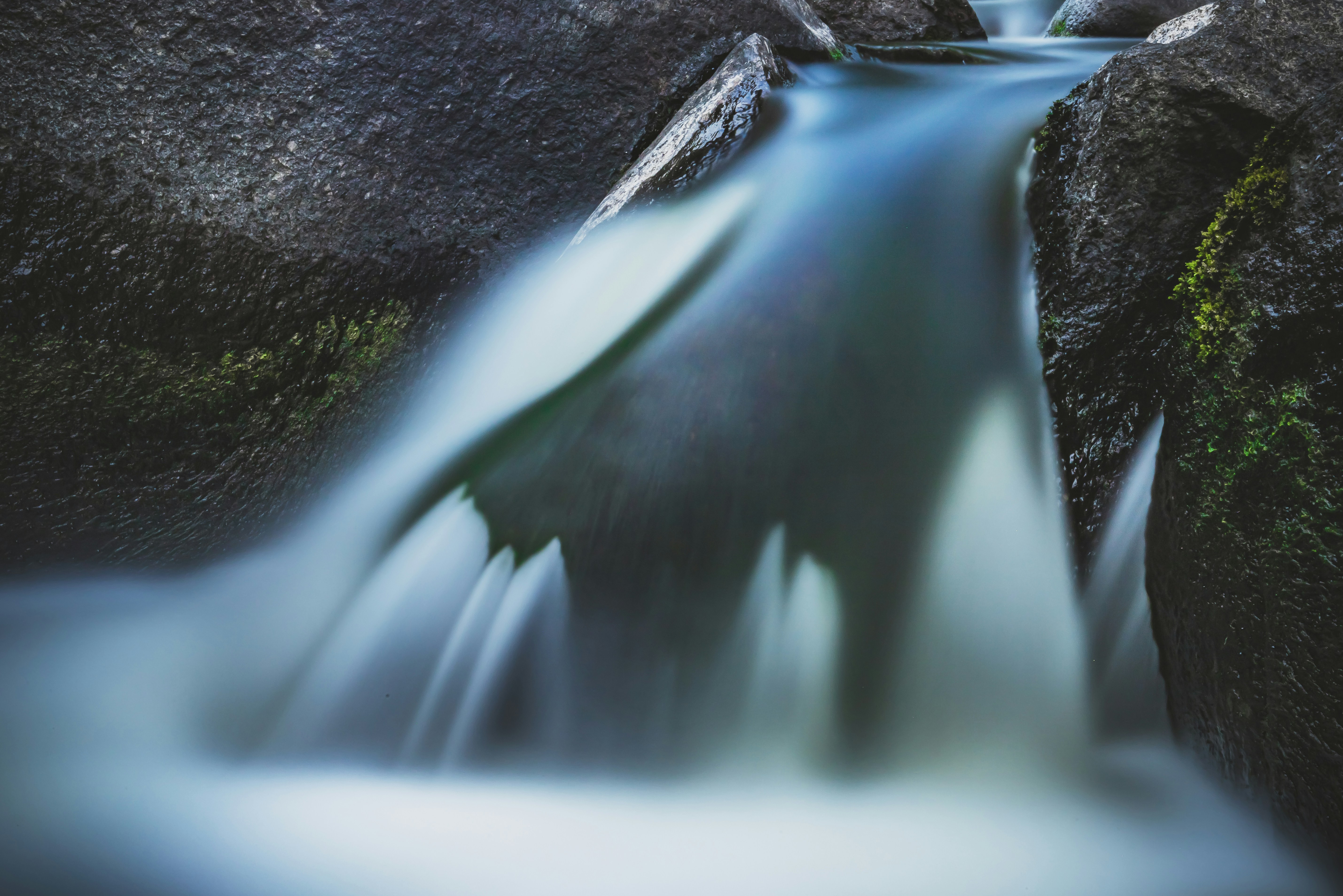 Photo by arizonanthony