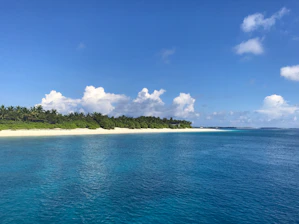Lush green forest blending into a serene palm-fringed beach under a clear sky.