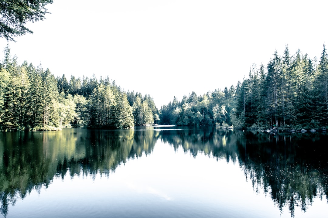 Nature reserve photo spot Rice Lake British Columbia