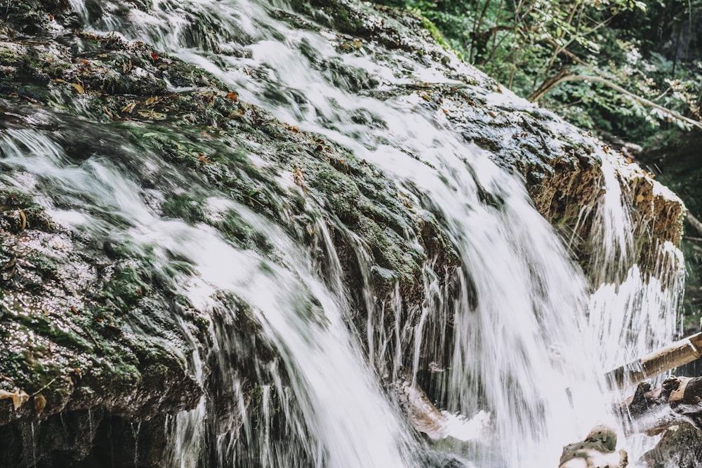 water falls in the forest