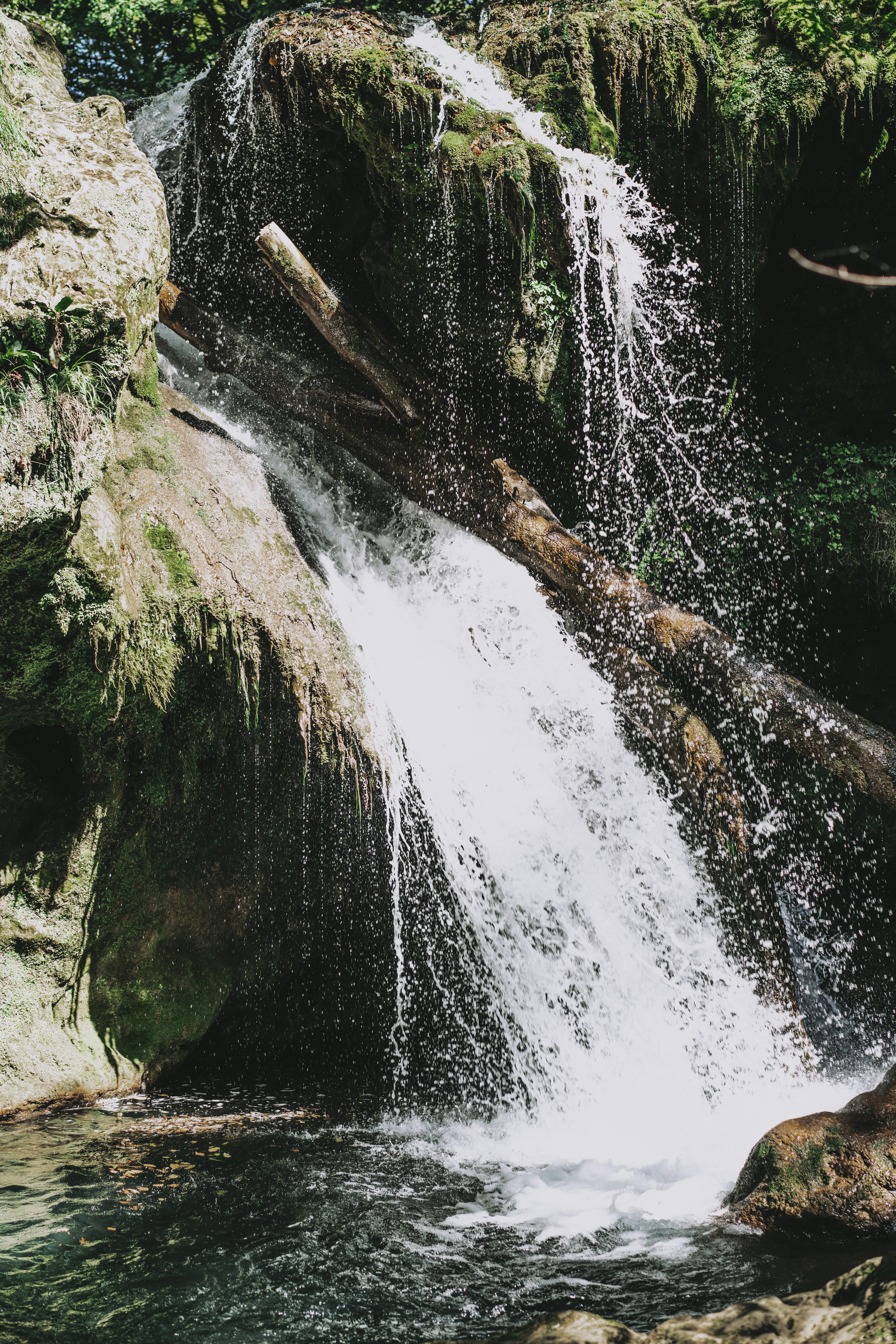 Photo by mihaiteslariu0