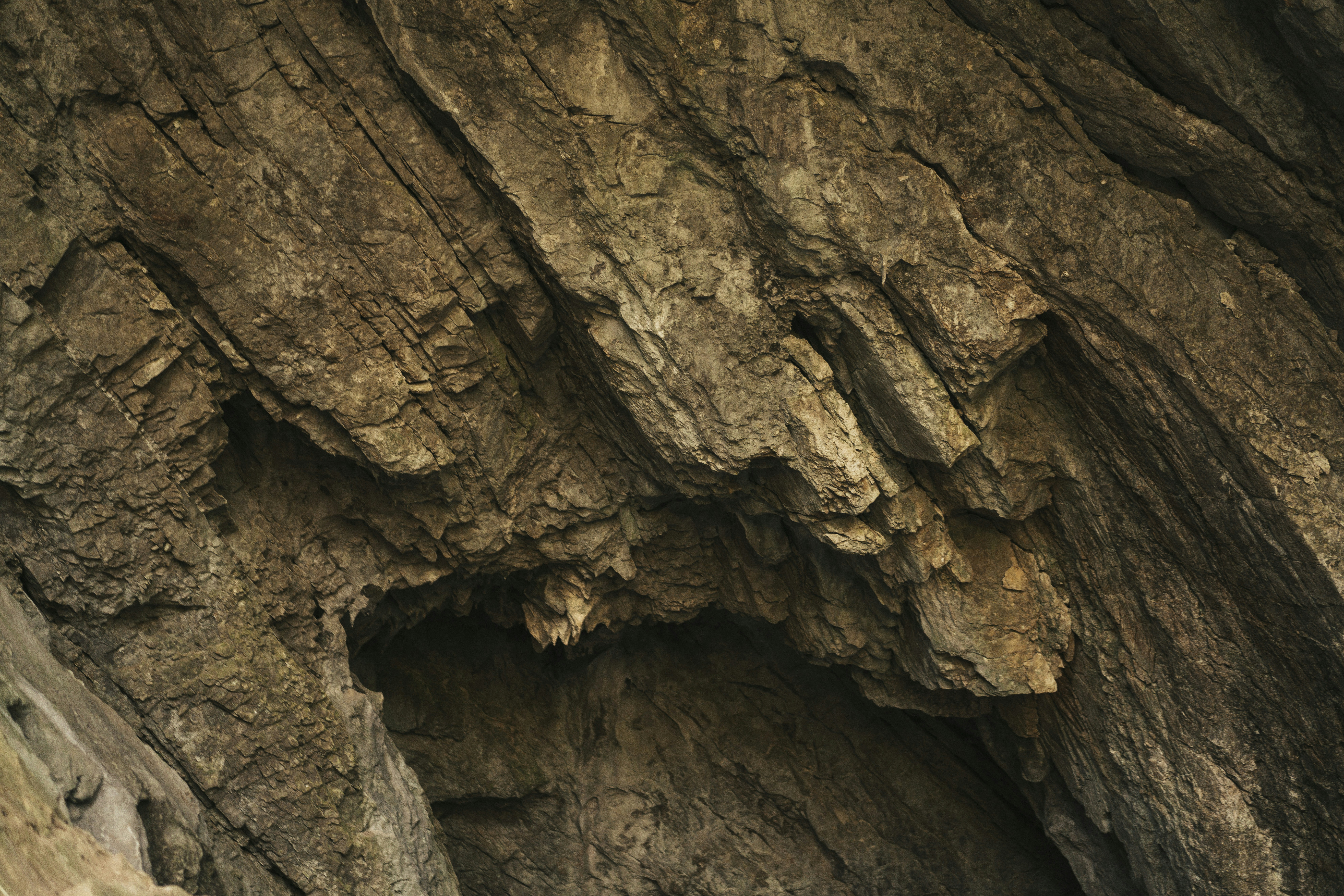 Photo by mihaiteslariu0