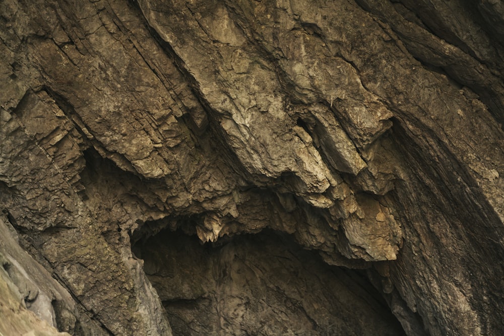 brown and black rock formation