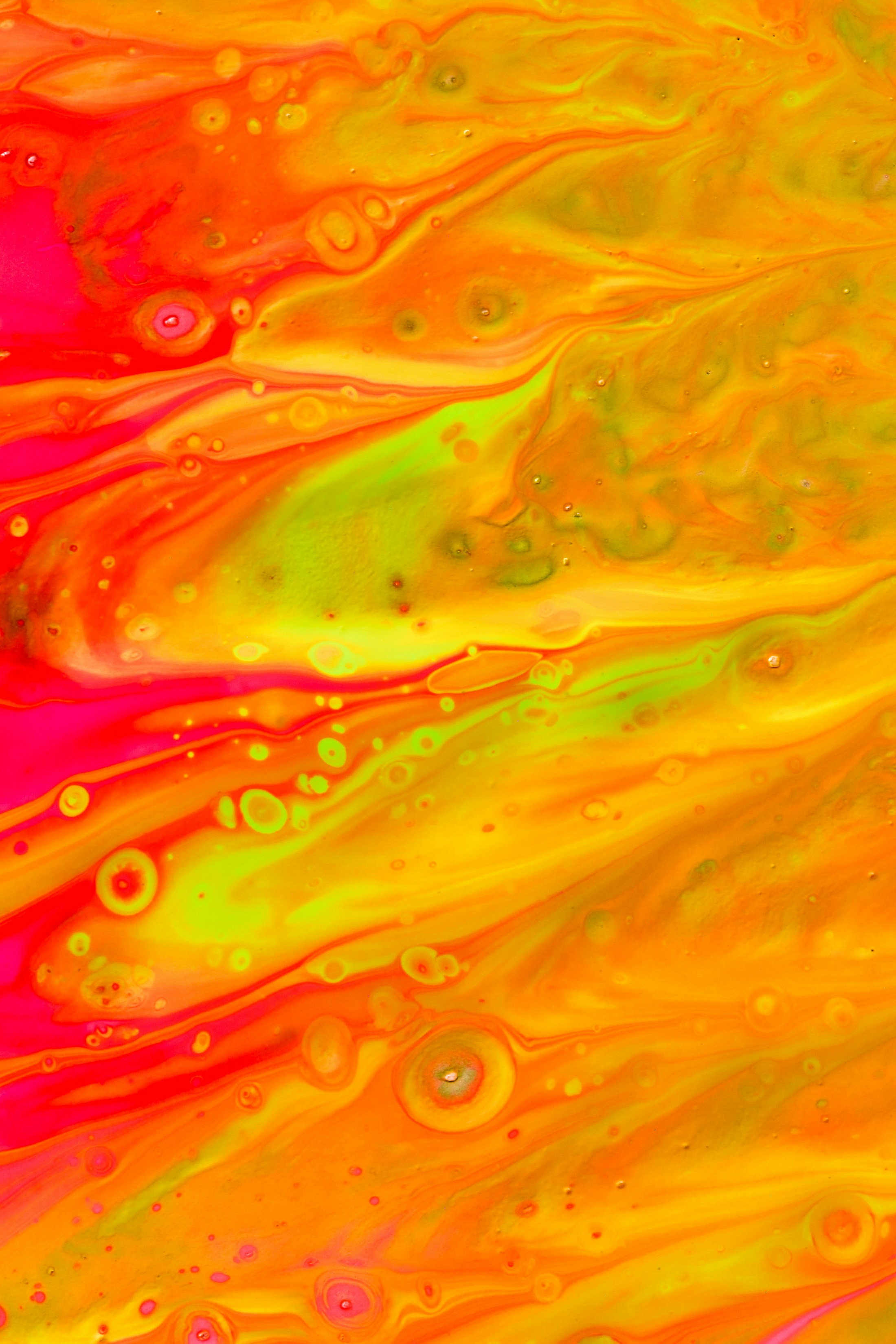 Photo by solenfeyissa