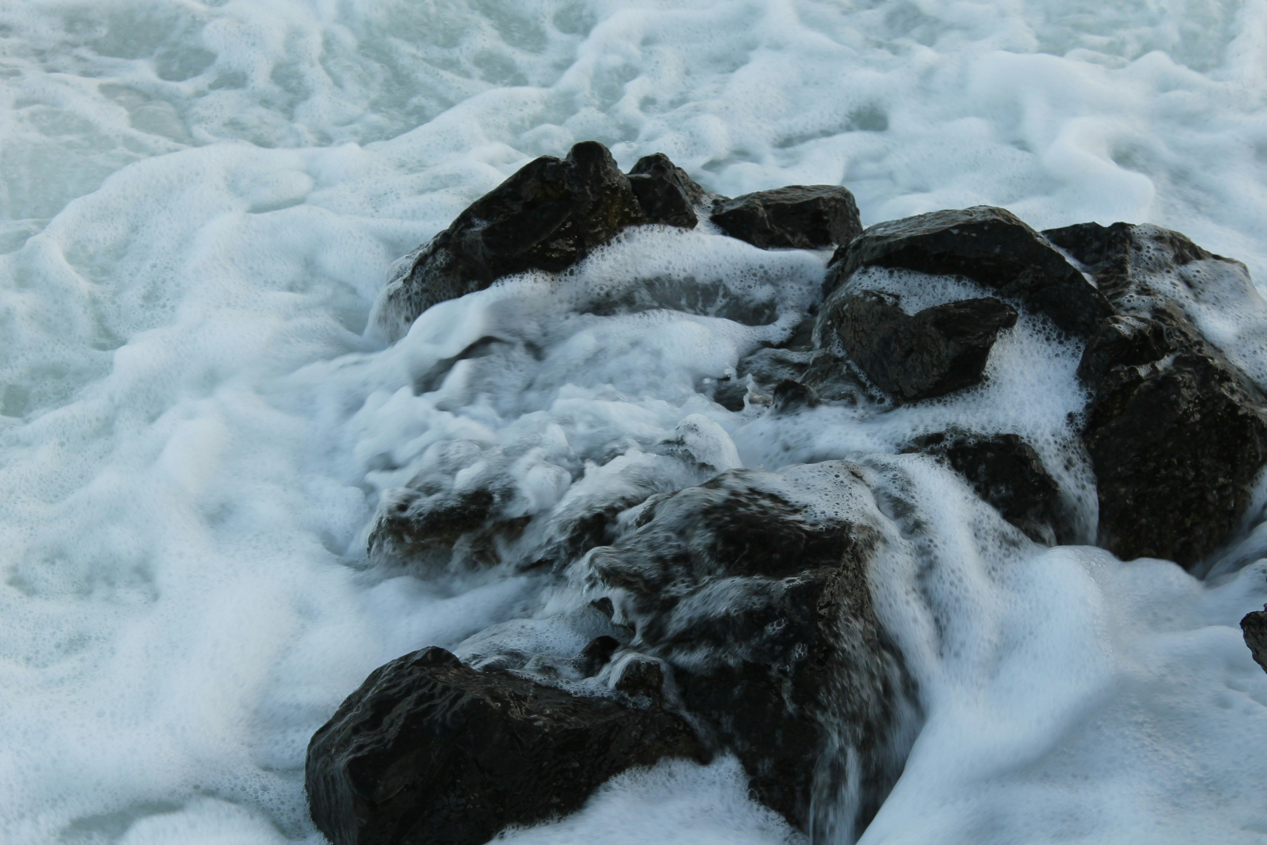 Photo by bogdan_vaskan