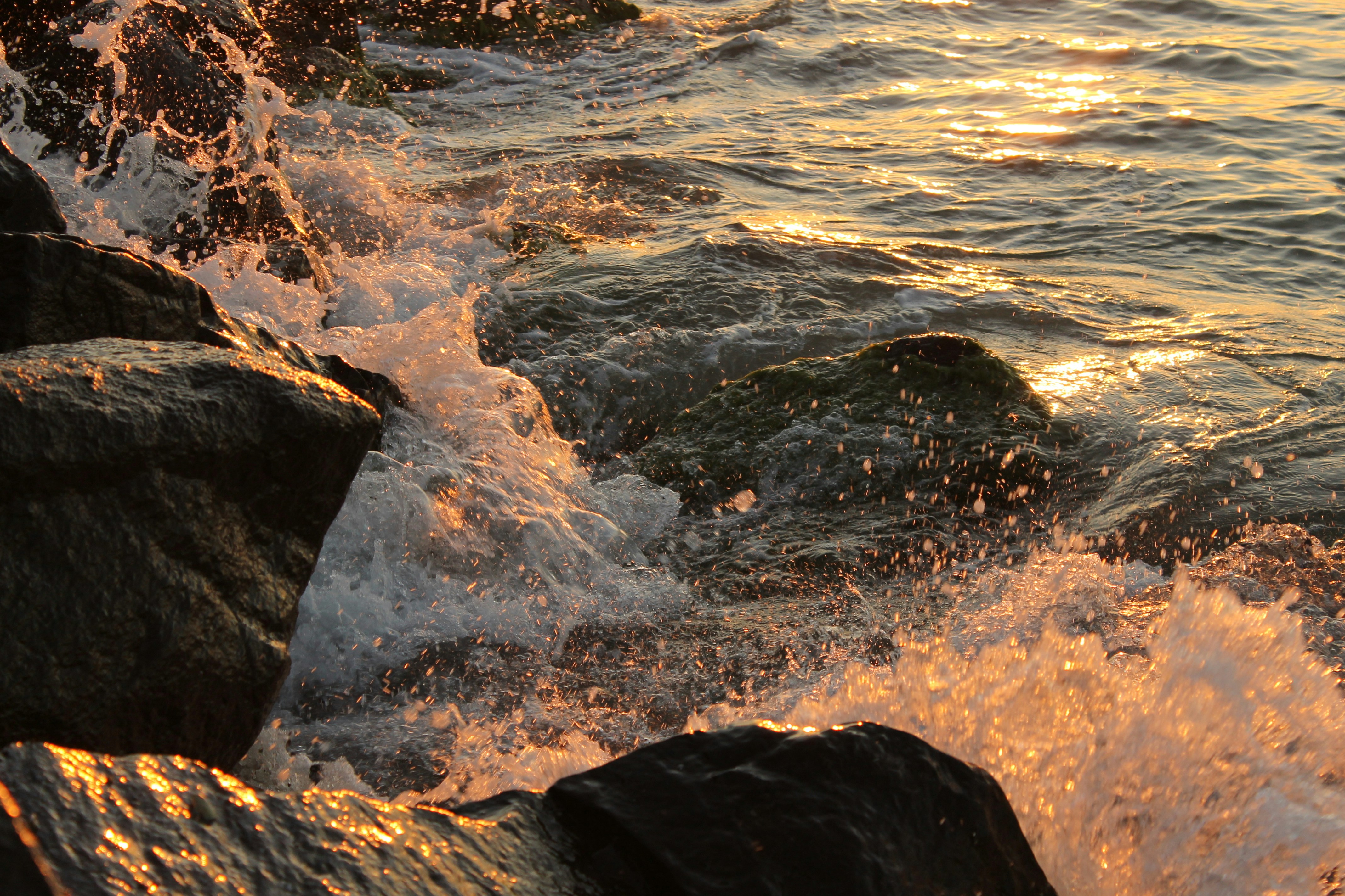 Photo by bogdan_vaskan