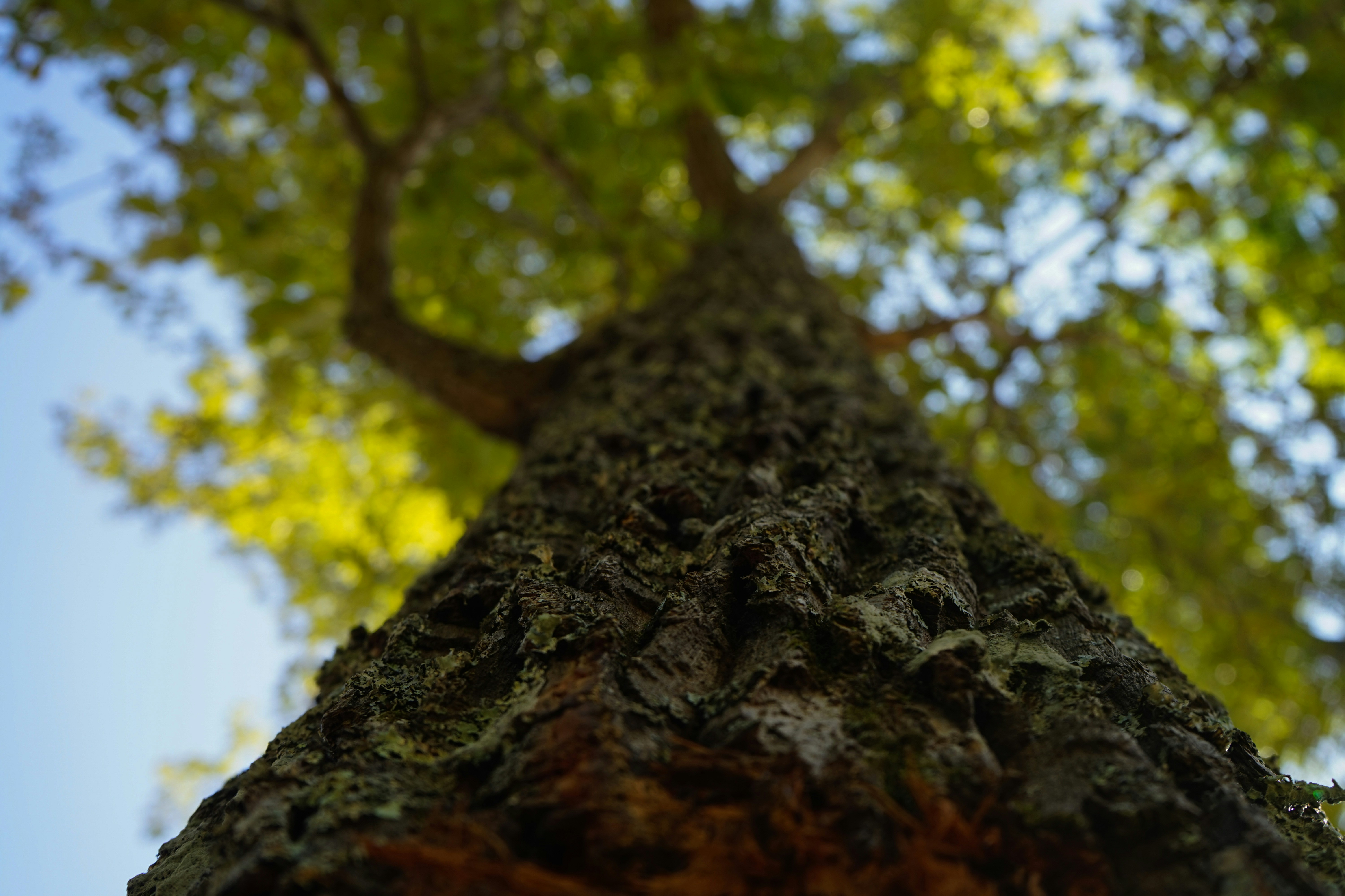 Photo by lilyrhea_welch