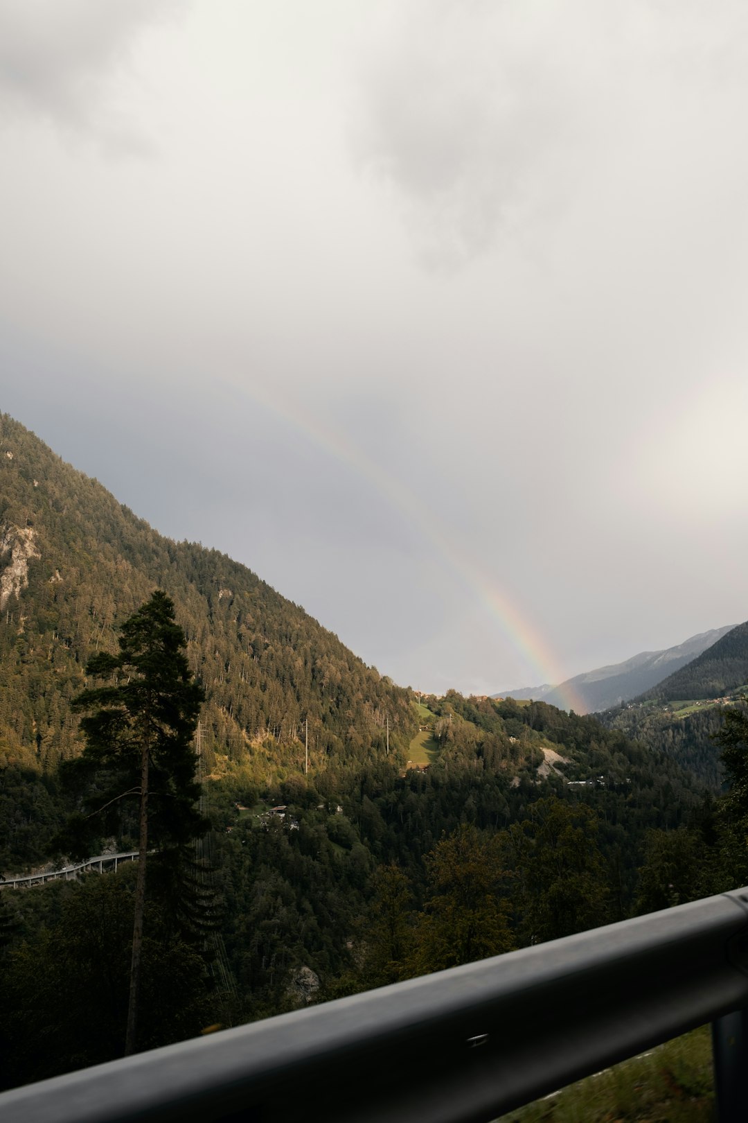 green trees on mountain under white sky during daytime