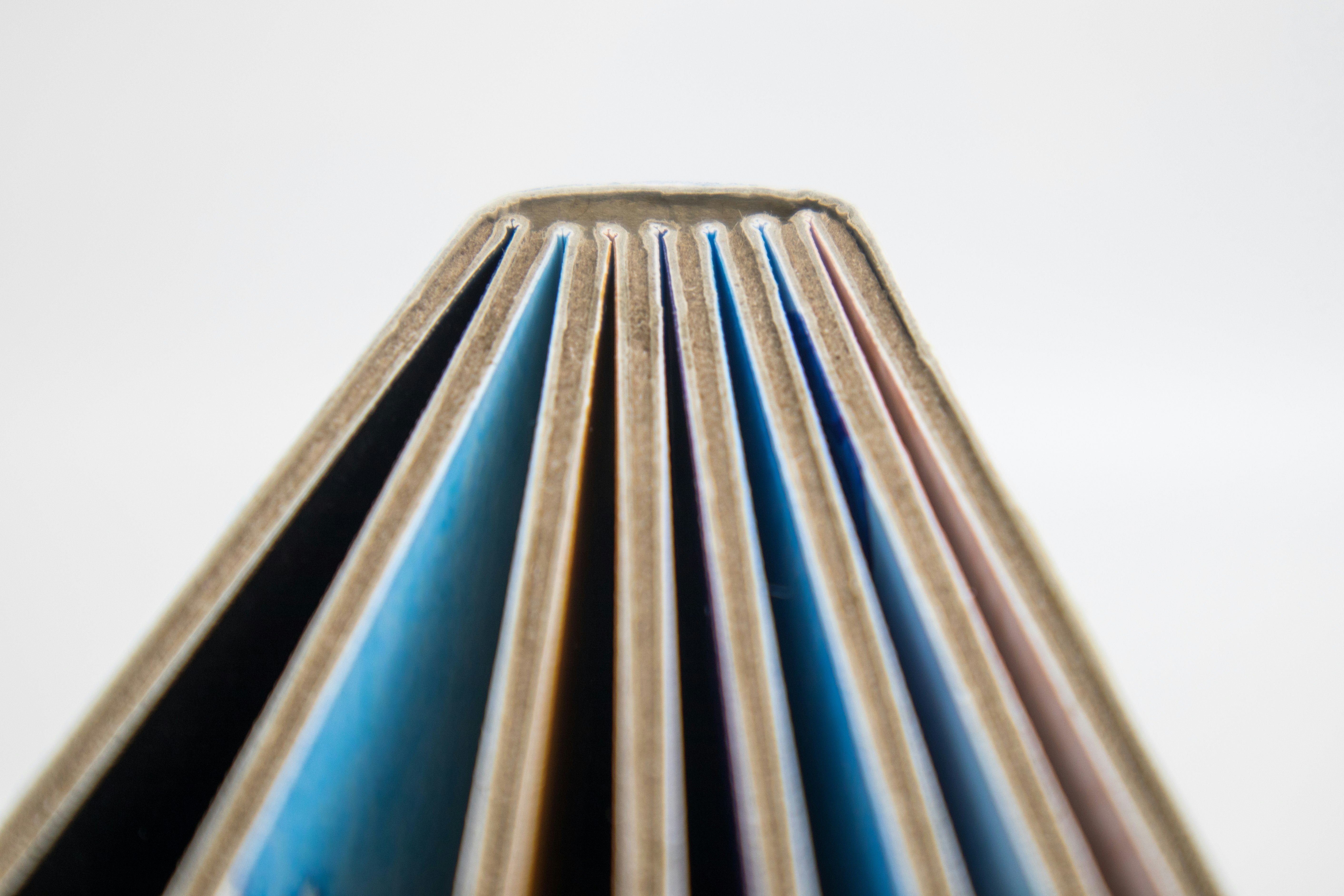 spine and pages of a board book