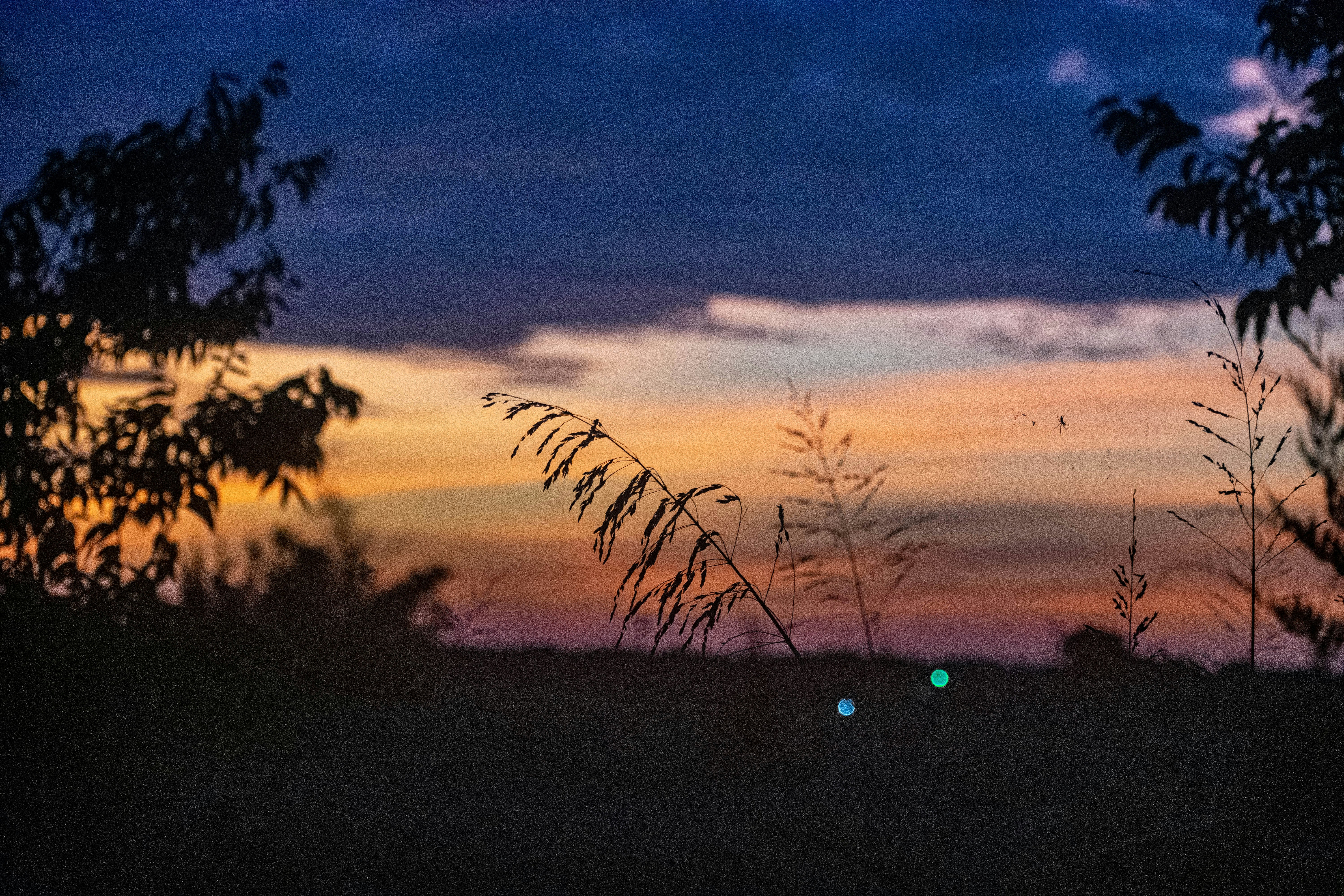 Photo by lizzyloveshorses99