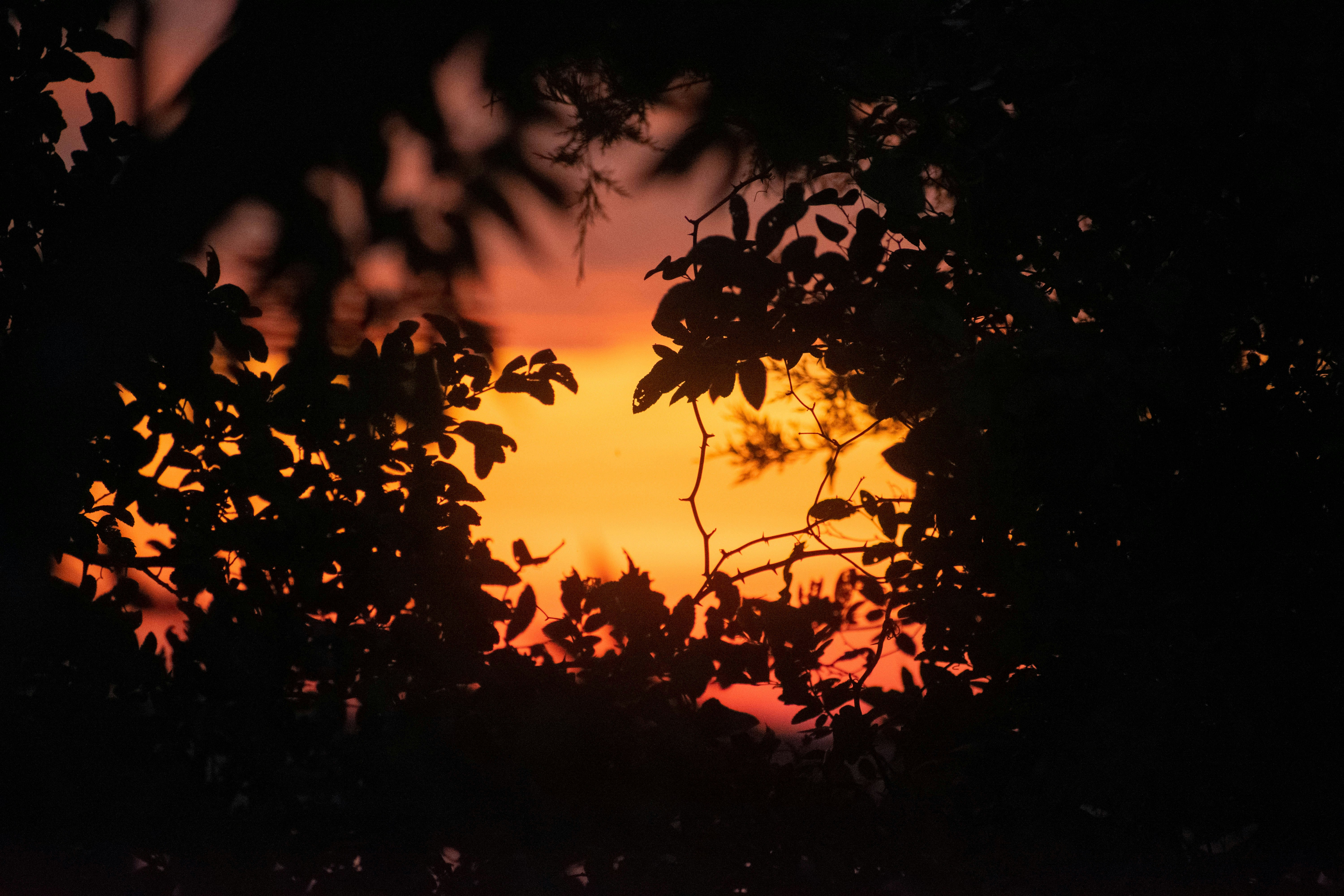 Photo by lizzyloveshorses99