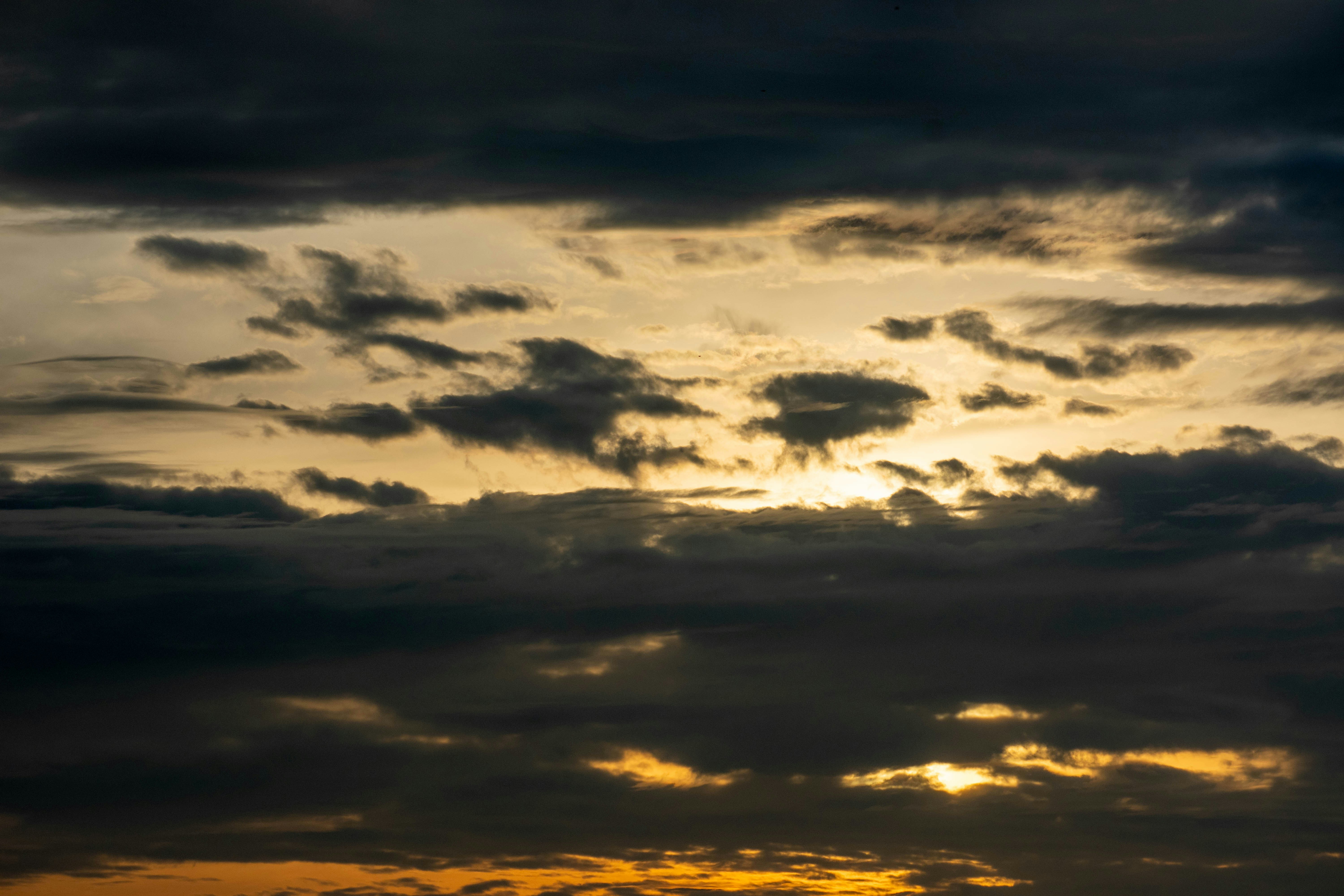 Photo by lizzyloveshorses99