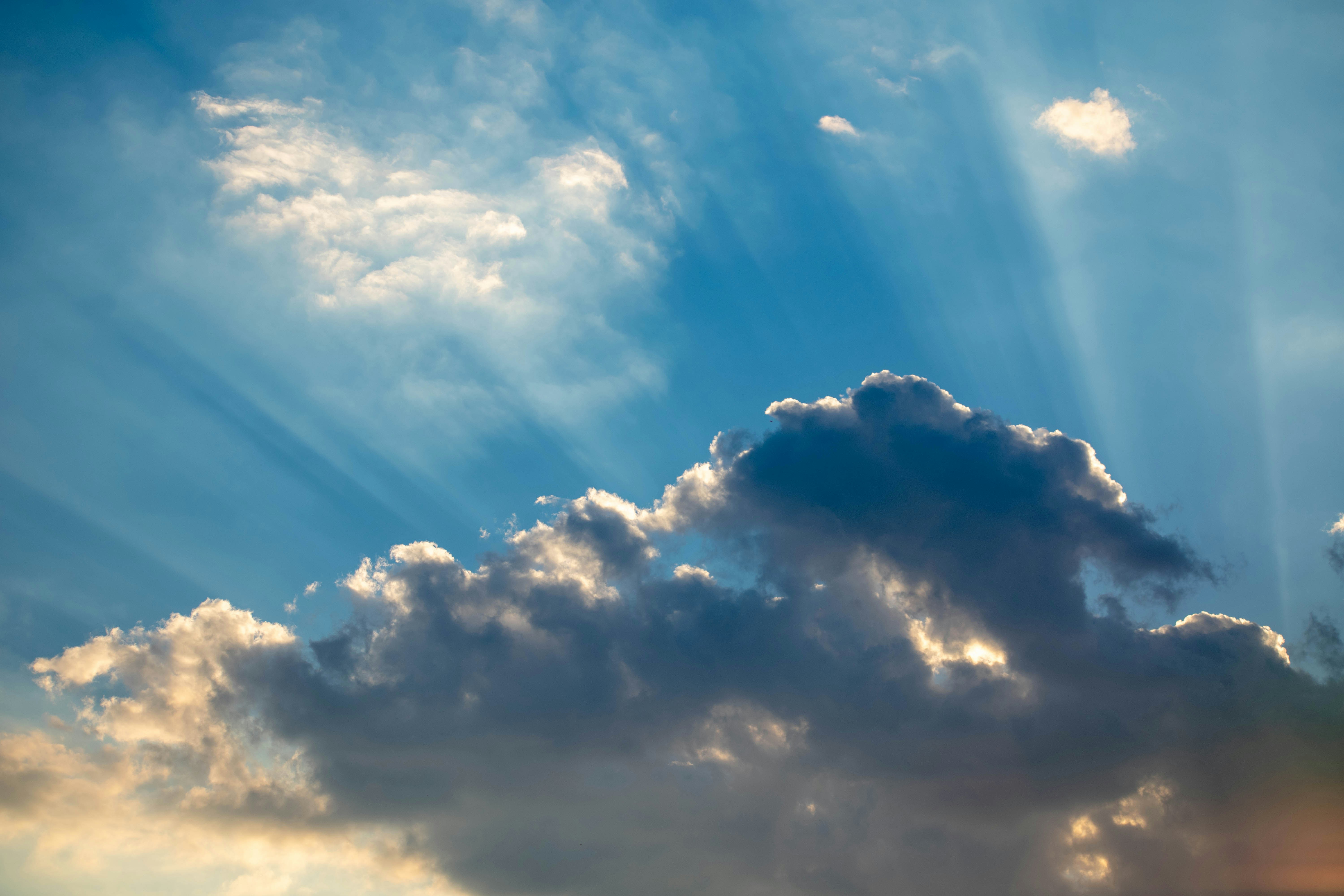 Photo by lizzyloveshorses99