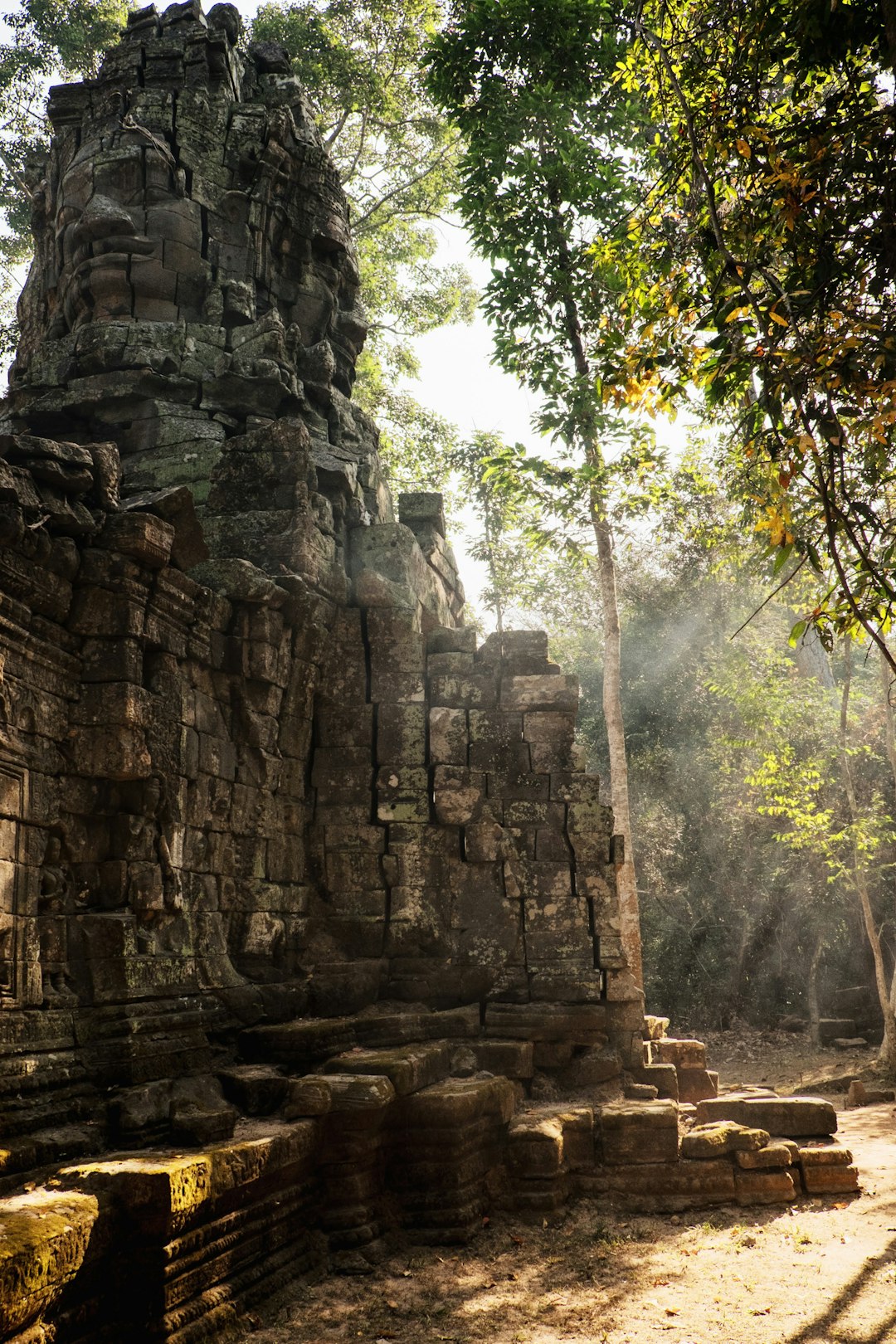 Jungle photo spot Angkor Wat Cambodia