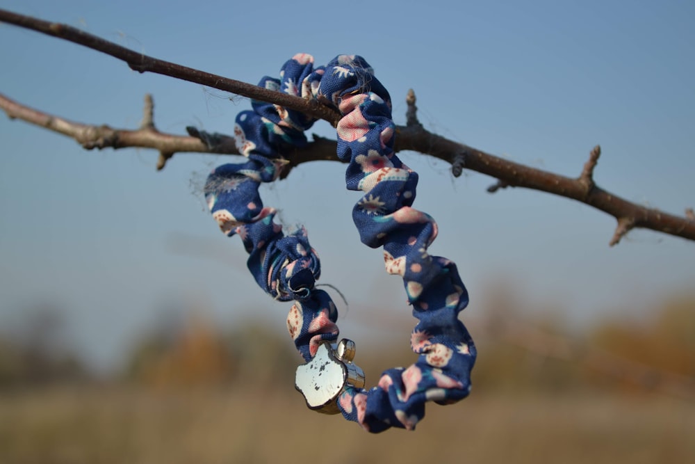 blue berries on brown tree branch