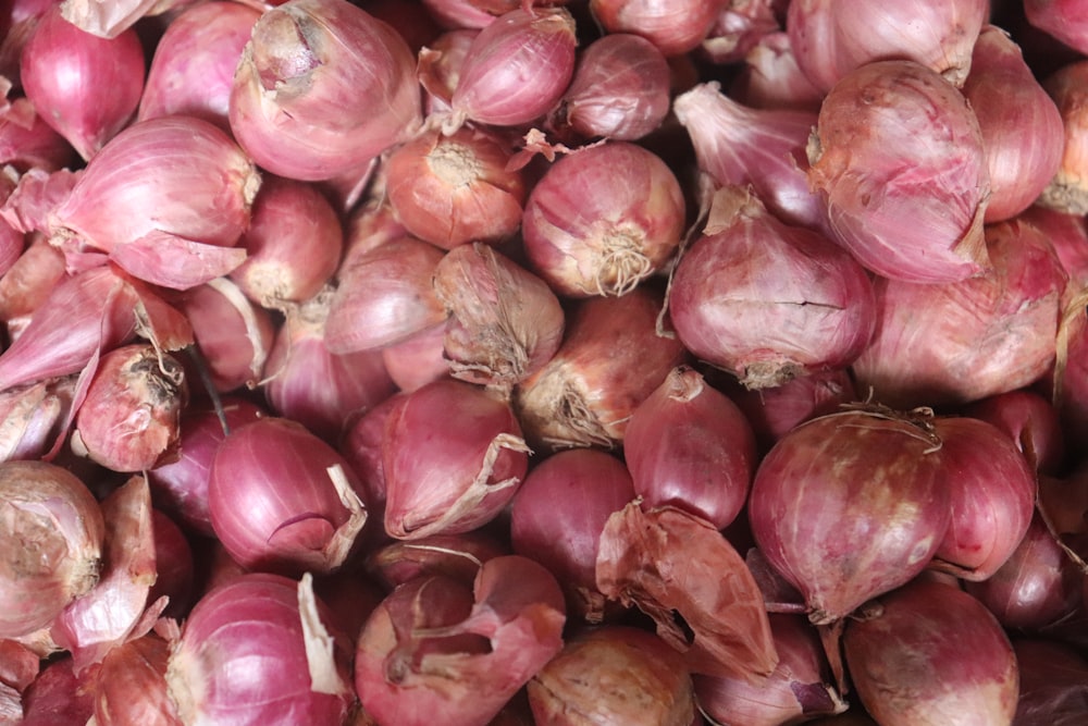 Shallot Free Stock Photos, Images, and Pictures of Shallot