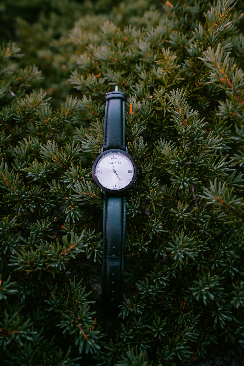 black leather strap silver round analog watch