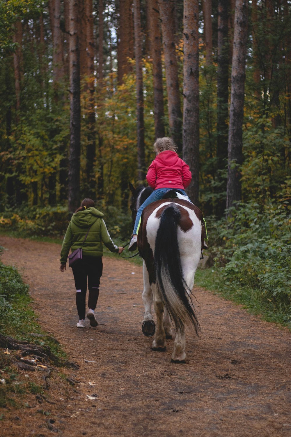 2 children standing beside white and black horse during daytime