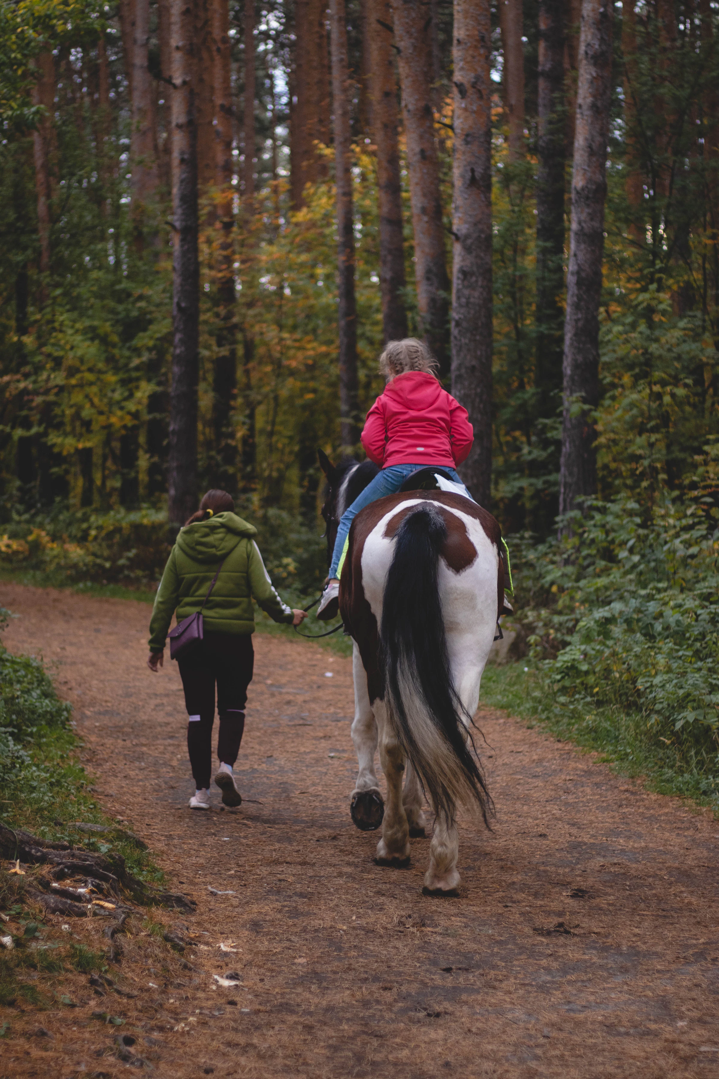 A child on a horse being led along a forest path