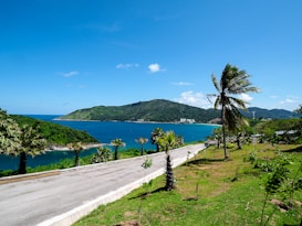 A scenic coastal landscape with a winding road bordered by lush greenery and palm trees, leading to a vivid blue ocean with gentle waves. In the background, a forested hillside rises, with buildings nestled along the shore. The sky is a clear, vibrant blue with a few scattered clouds.