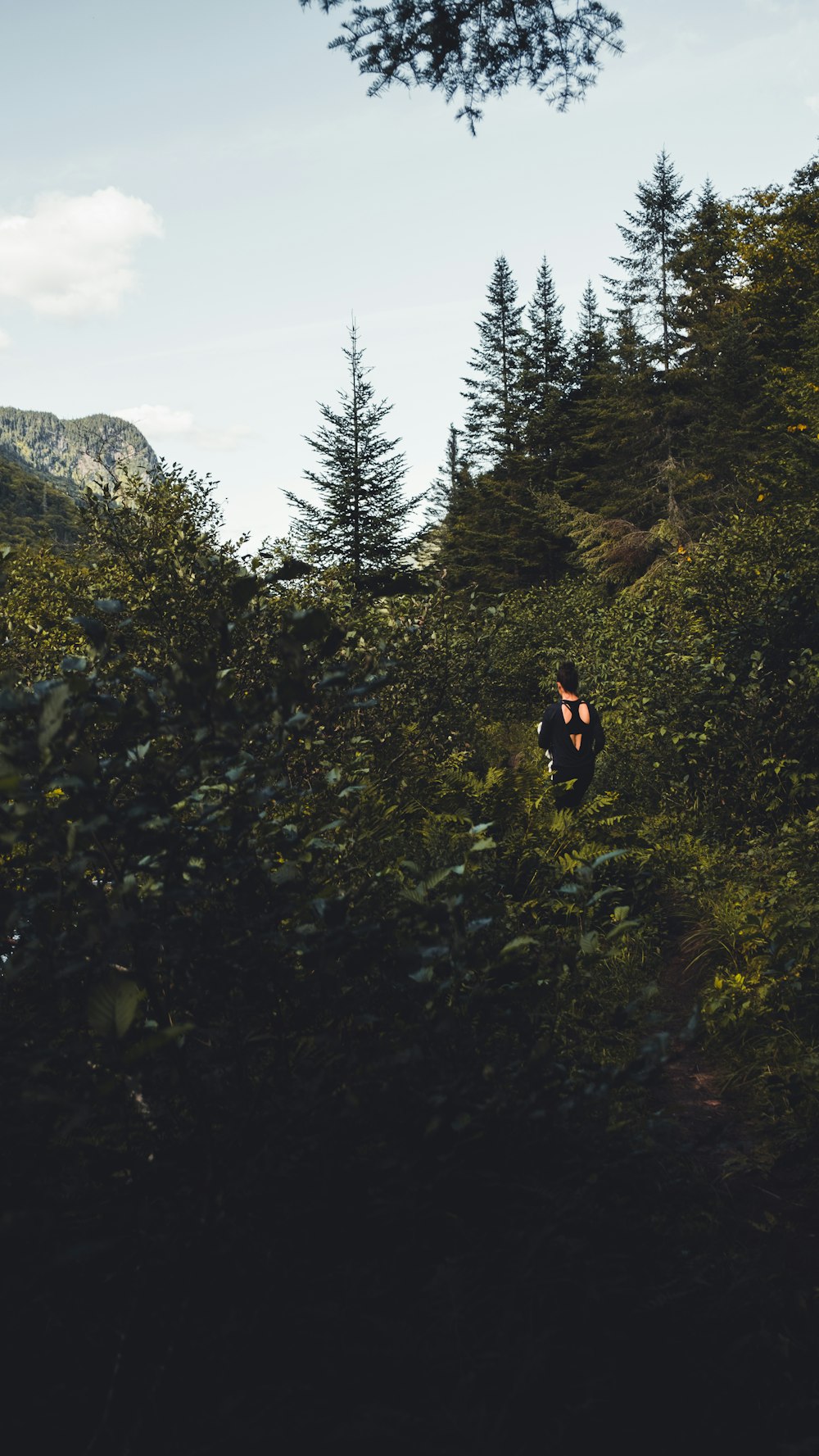 person in black jacket standing on green grass field during daytime