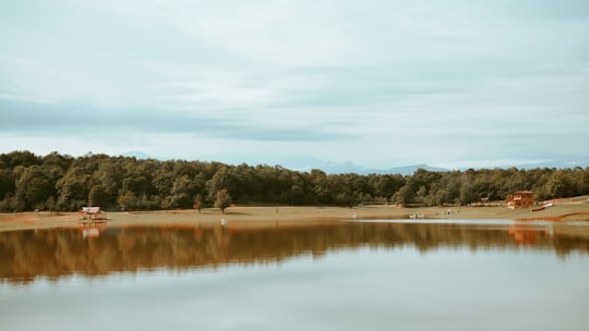 green trees beside lake under white clouds during daytime in Rasht Iran