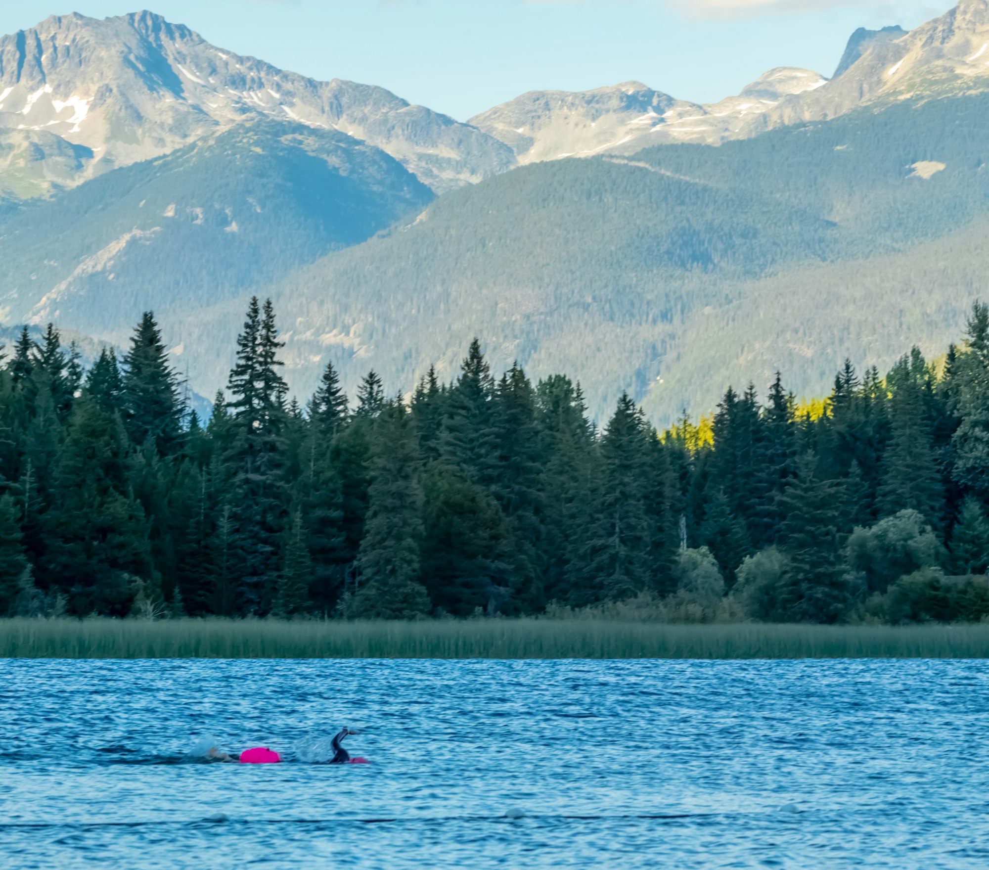 Triathlete swimming in Alta Lake, Whistler. 