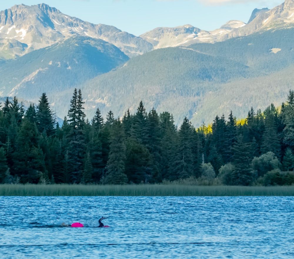 person riding on red kayak on lake near green trees and mountains during daytime