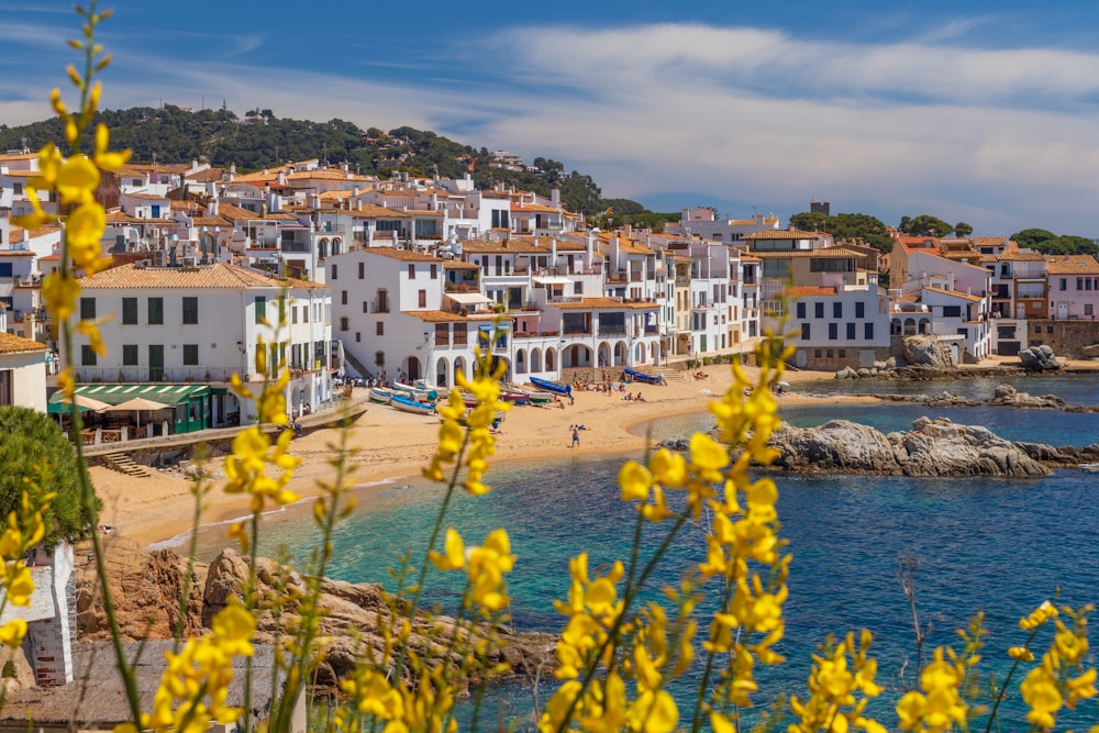 yellow and white houses near body of water during daytime