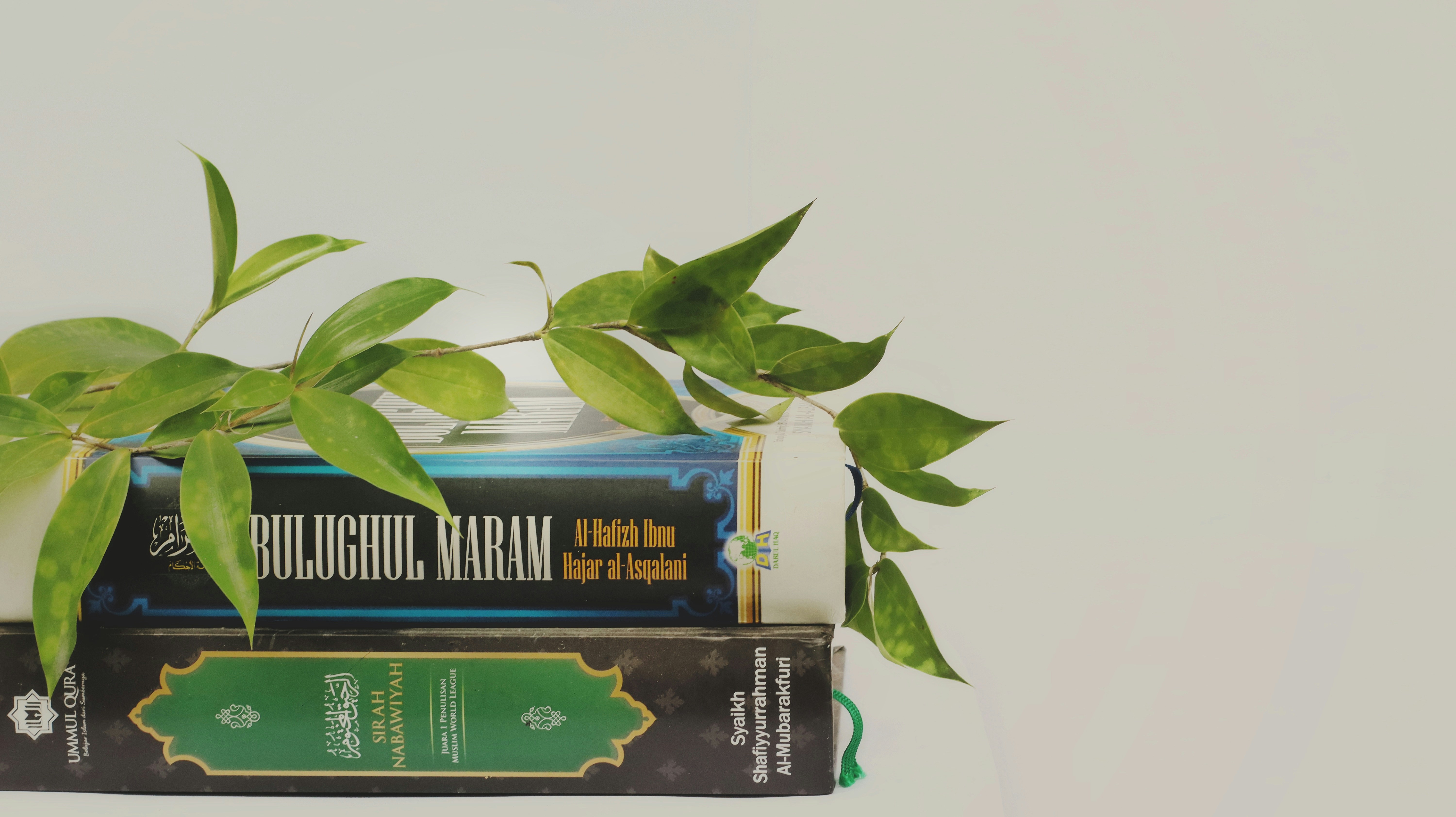 A symbolic image of a polluted river flowing through an industrial landscape, with a small green plant struggling to grow on the bank.