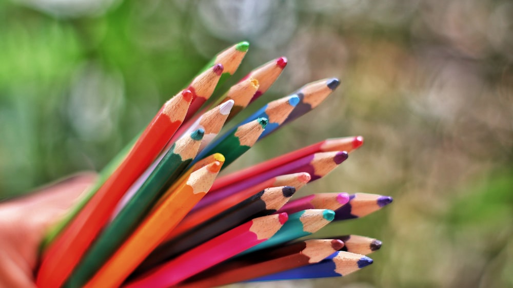 multi colored pencils in tilt shift lens