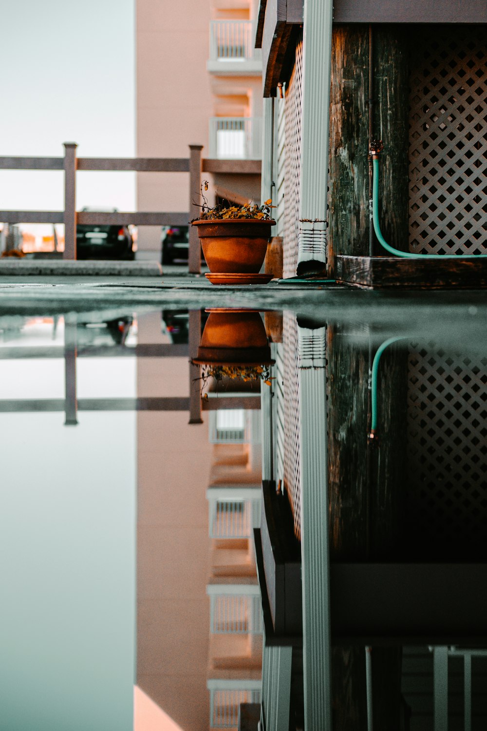 brown potted green plant on glass table