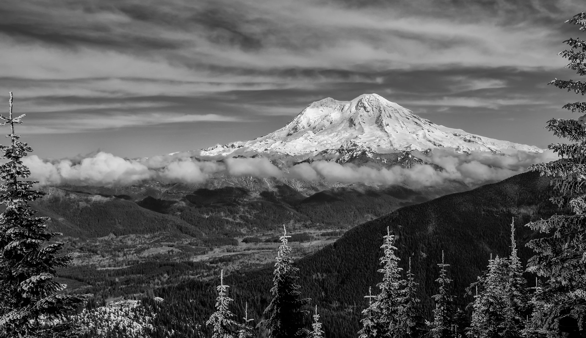 woman wearing yellow long-sleeved dress under white clouds and blue sky during daytime
