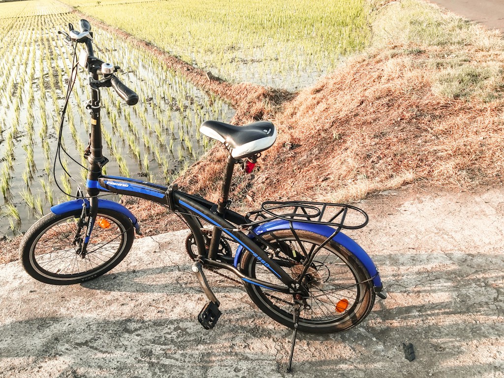Fnhon Folding Bike
