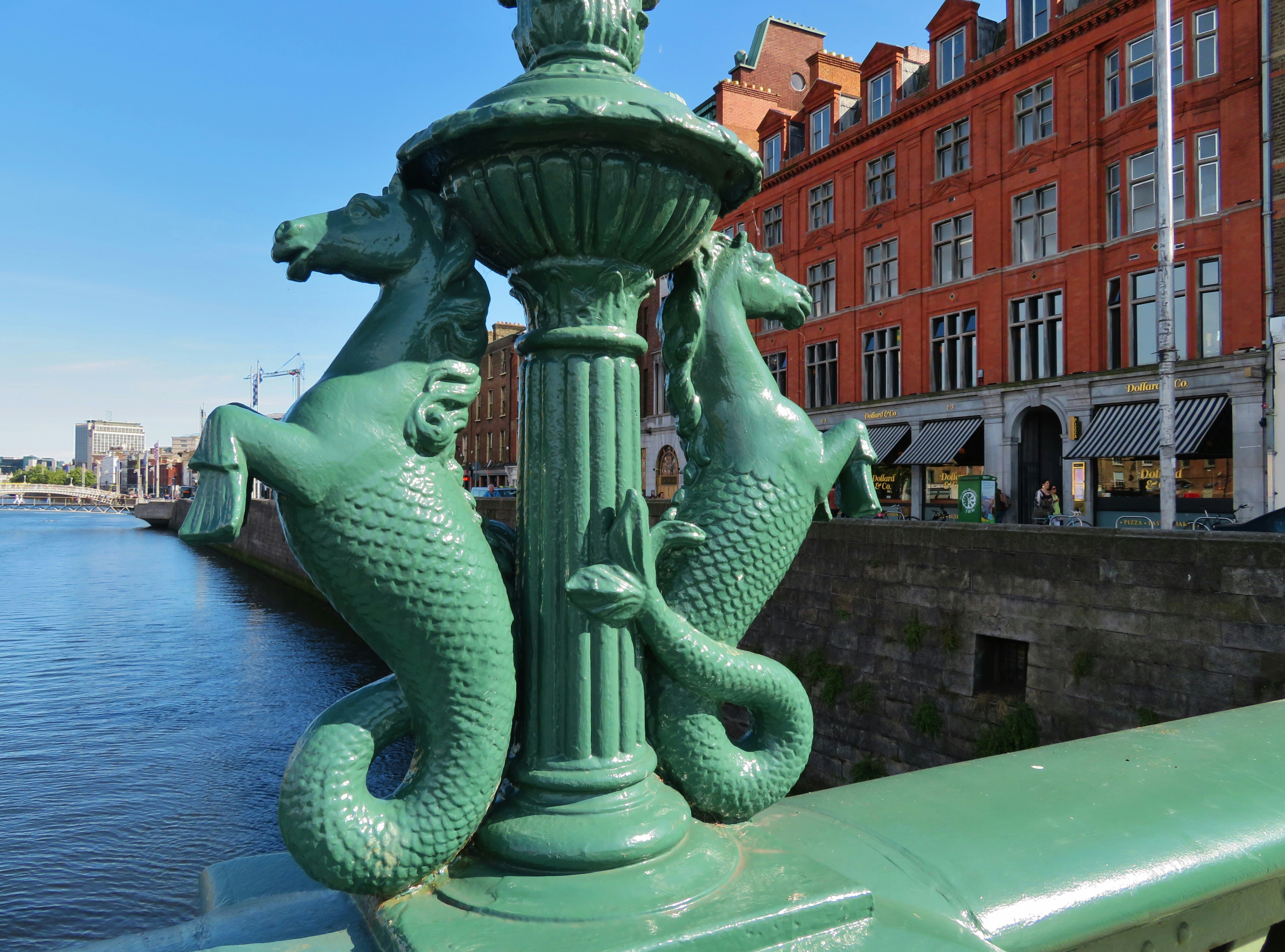 susan slip on sneaker